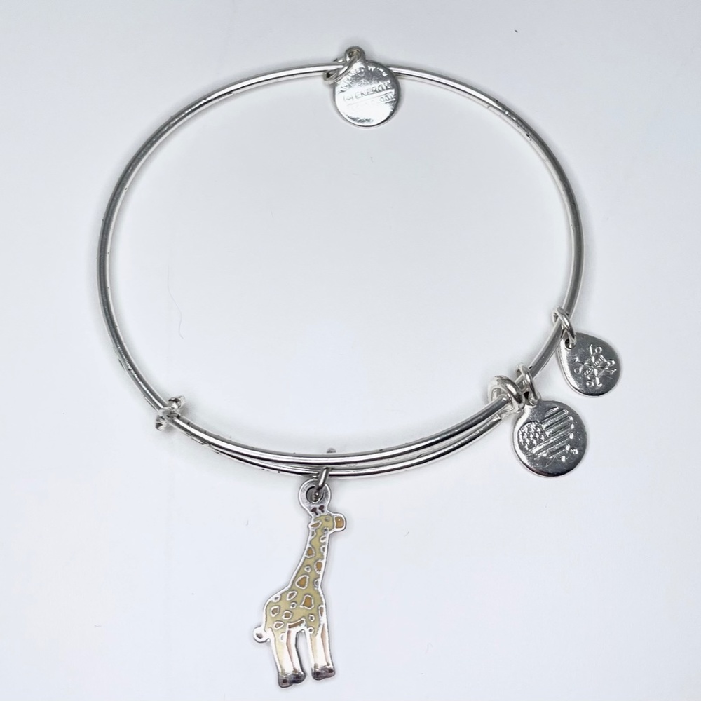 Alex and Ani Bracelets - Picture 6 of 16